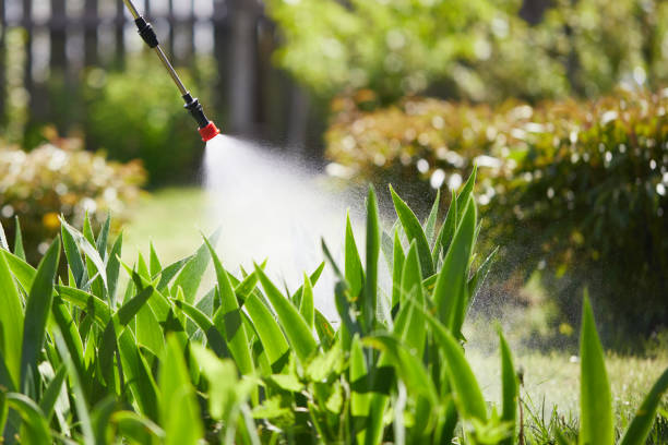 24/7 Emergency Mosquito Control experts in Thayer, MO